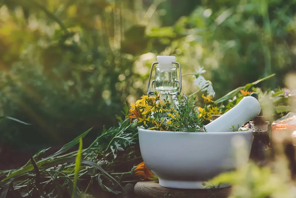 Cabinet de naturopathie à Quimper