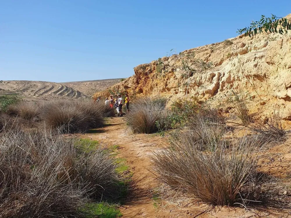 Les sejours detox et vitalite à Essaouira (10)webp