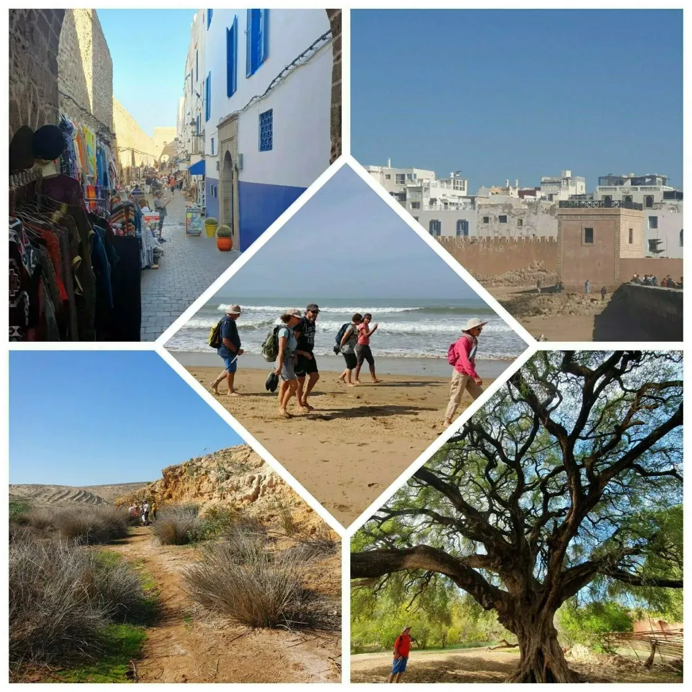 Les sejours detox et vitalite à Essaouira (19)webp