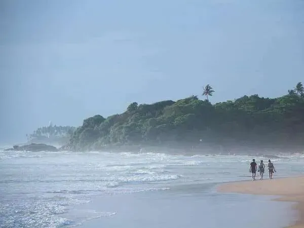 Une Cure Ayurvédique Authentique au Sri Lanka (19)webp