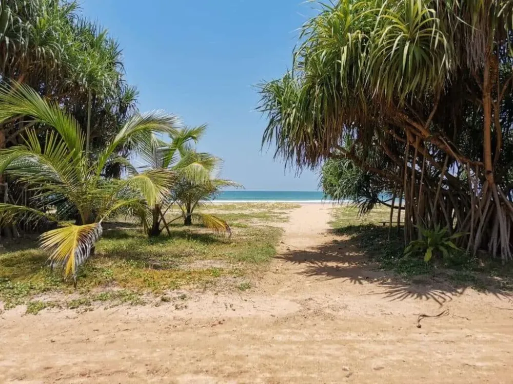 Une Cure Ayurvédique Authentique au Sri Lanka (3)webp