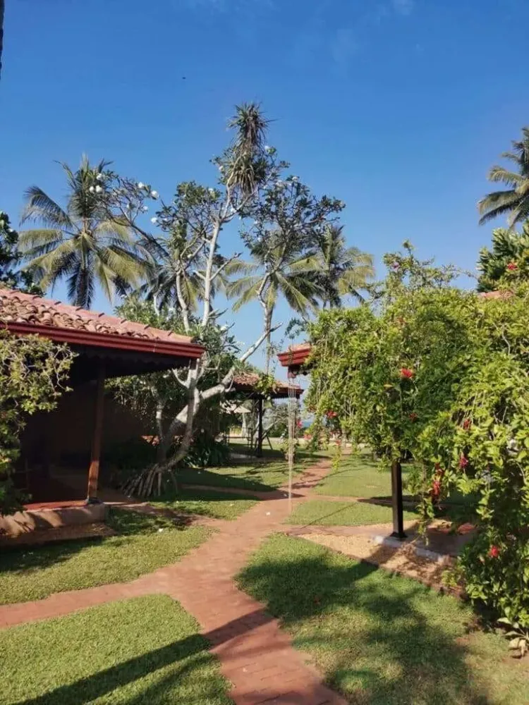 Une Cure Ayurvédique Authentique au Sri Lanka (4)webp